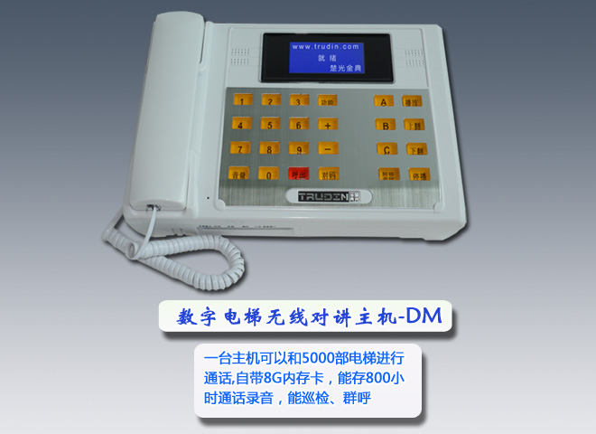 TS-979-99DM