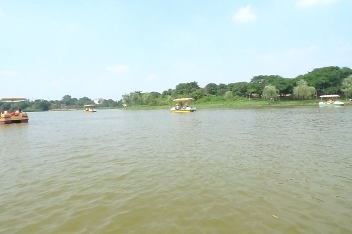 ����´��ڴ򿪴�ͼ